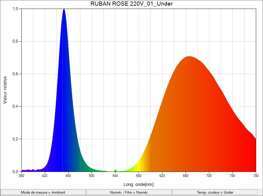 Ruban led rose 220V