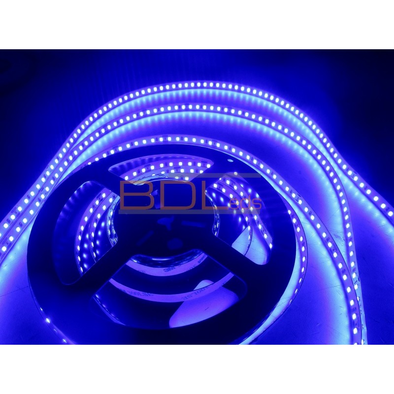 Ruban LED bleu 220v rouleau de 1 à 50 mètres