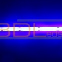 Ruban LED COB bleu IP 65 24V 5M ou 10M