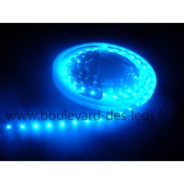 Bandeau LED puissant bleu de 5m étanche idéal en extérieur !