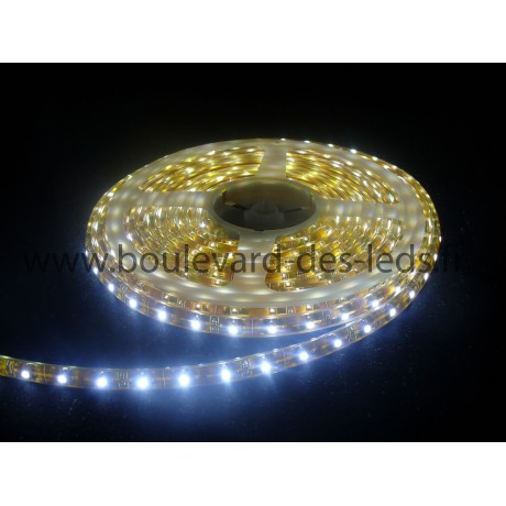 RUBAN LED - BLANC FROID - 300 LED - 5m - 12V